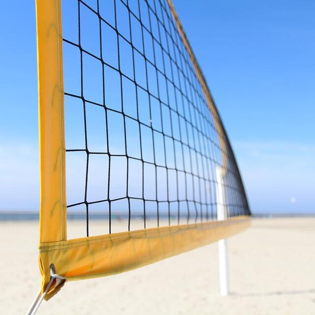 Multi-Purpose Knotted Sports N - огляд і ціна Badminton Net