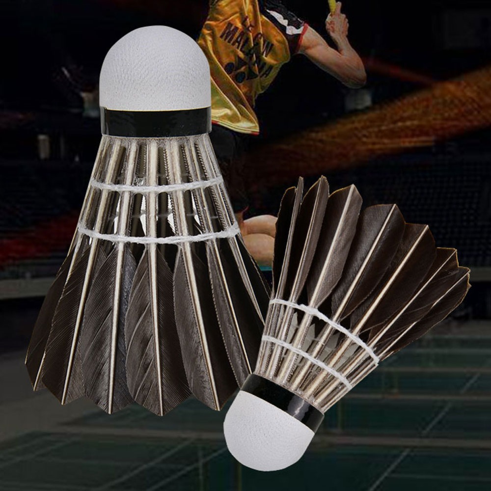 3/6/12Pcs Household Sport Trai - огляд і ціна Feather Shuttlecock